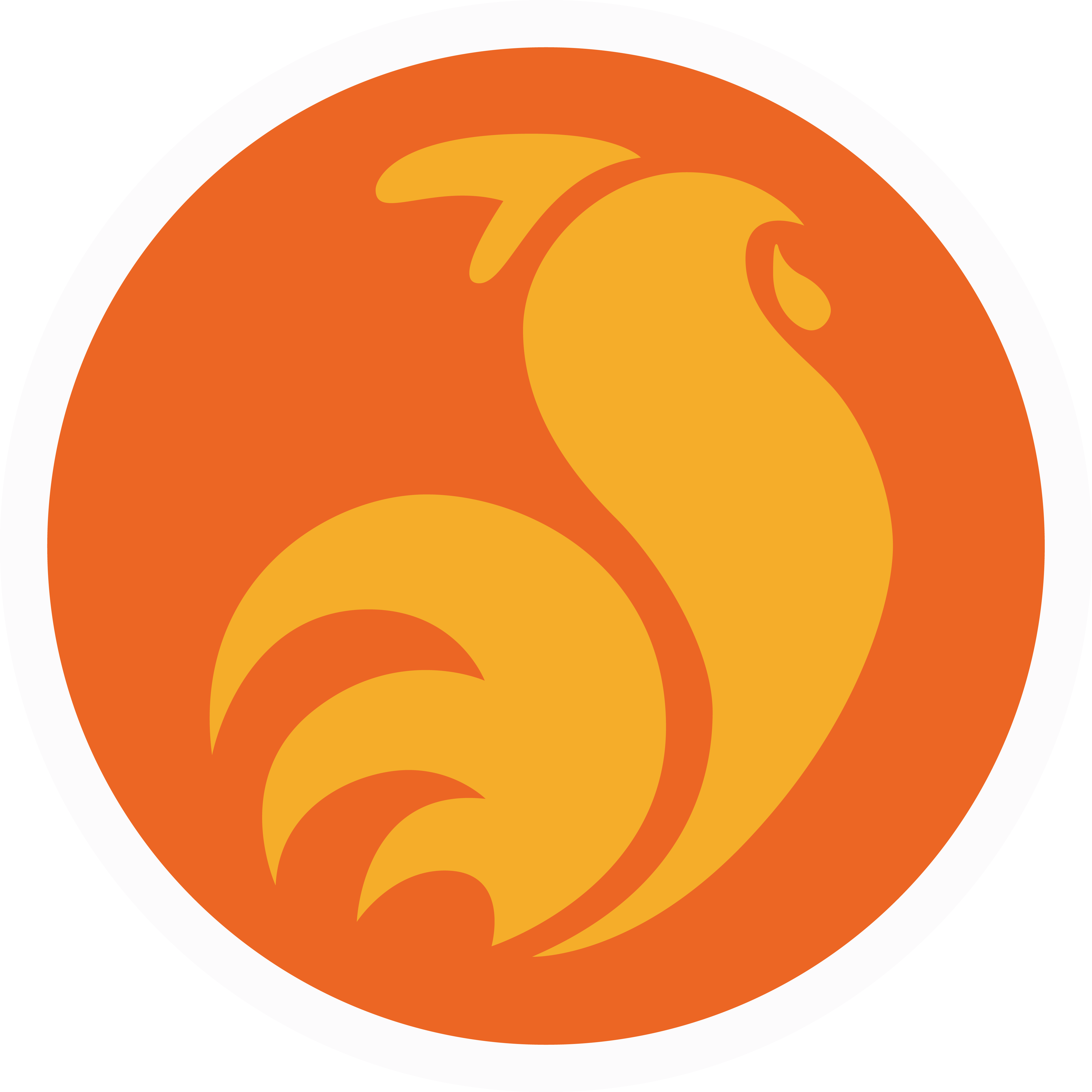 Miraculous Remedies Category